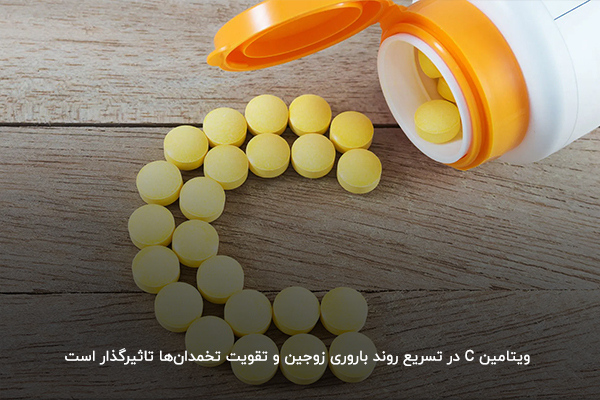ویتامین C؛ ماده مغذی موثر برای تقویت تخمدان و بارداری سریع
